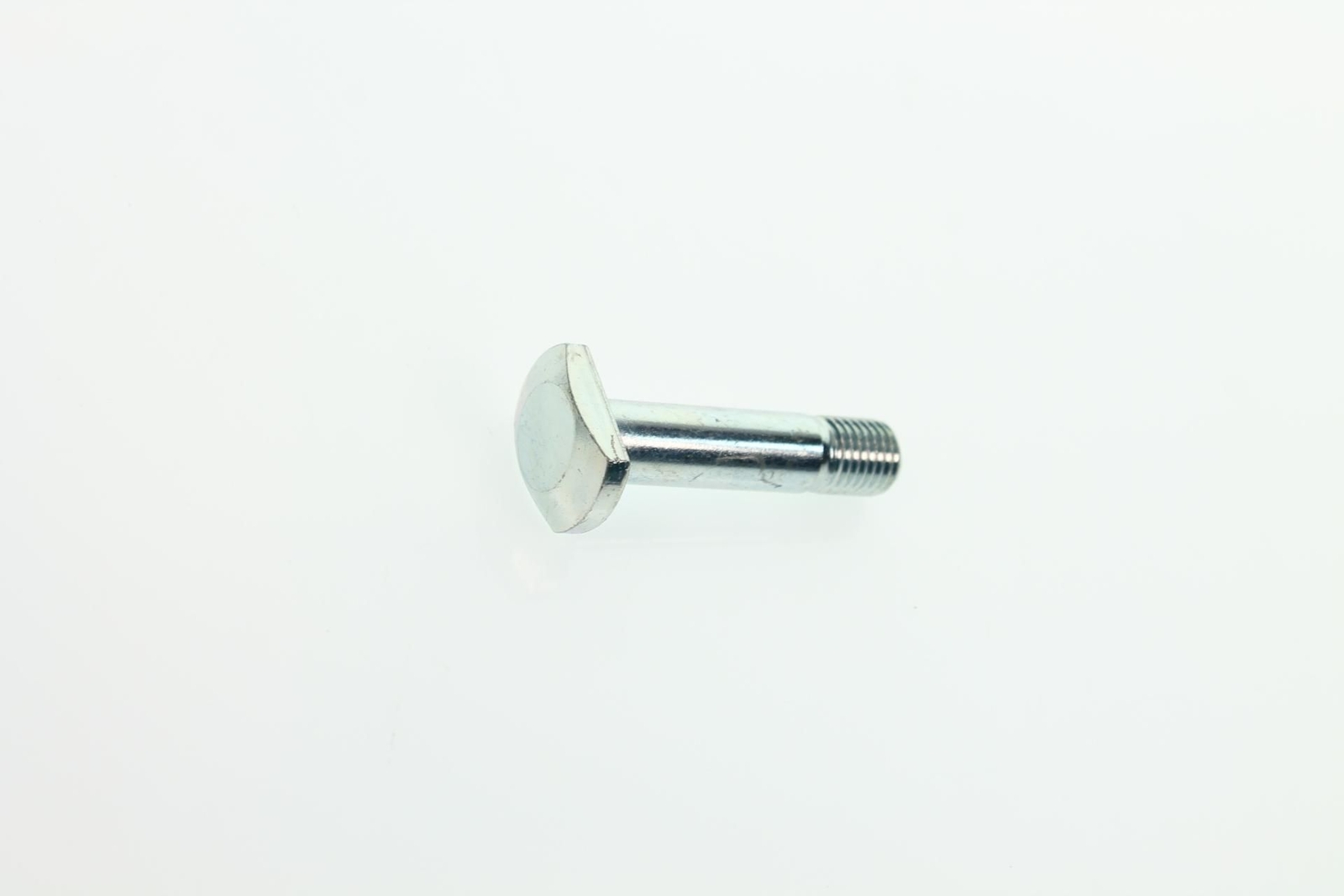 10008_bb65c6bc.jpg