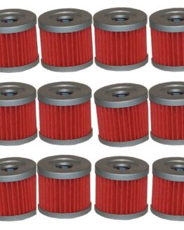 HF125 Oil Filter - 12 Pack
