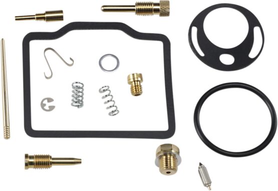 Carburetor Repair Kit