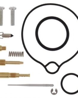 Carburetor Rebuild Kit