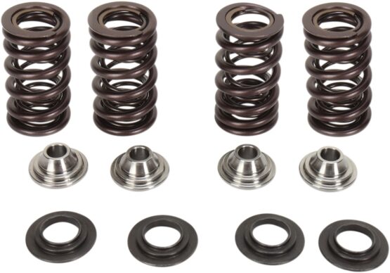 Racing Valve Spring Kit