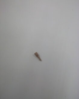 Yamaha Carburetor Jet #48 - Part 3TJ-14948-06-00