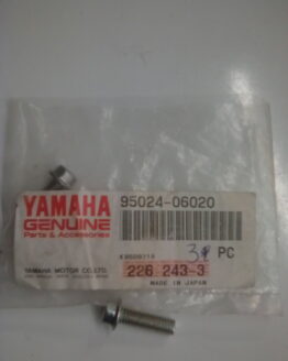 Yamaha Flange Bolt M6 x 20mm - 95024-06020-00