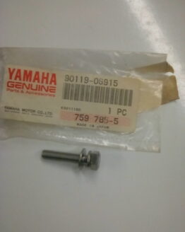 Yamaha Bolt with Washer 90119-06915-00