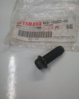 Genuine Yamaha Plug 4KG-12222-00-00