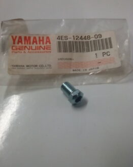 Yamaha Water Pump Screw 4ES-12448-09-00