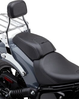 Sissy Bar Luggage Rack