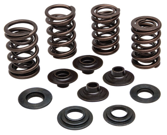 Racing Valve Spring Kit