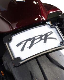 Two Brothers Racing Fender Eliminator Kit with LP Light For Sportster S