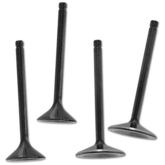 Black Diamond Intake & Exhaust Valve Set (2ea)