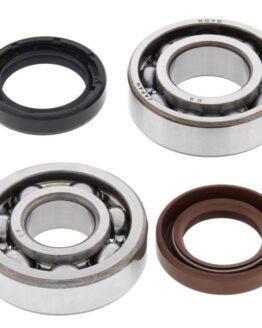 All Balls Racing Crankshaft Bearing Kit YZ100