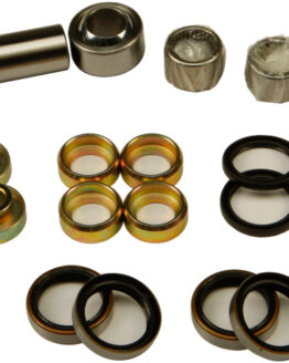 Swing Arm Linkage Bearing & Seal Kit
