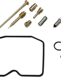 Carburetor Repair Kit
