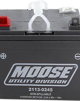 AGM Maintenance Free Battery