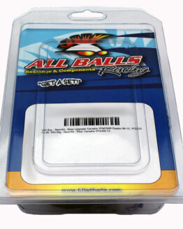 Carburetor Rebuild Kit