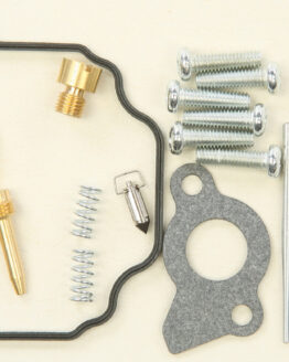 Carburetor Repair Kit