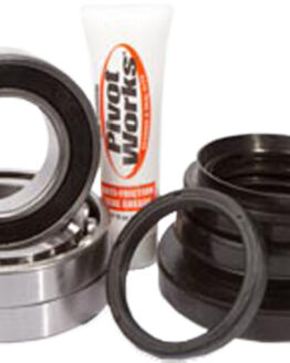 Rear Wheel Bearing Kit