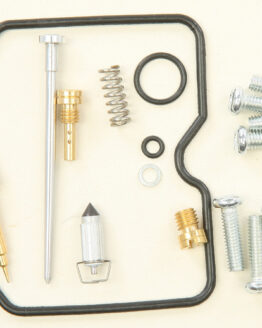 Carburetor Repair Kit