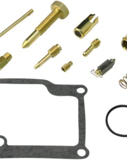Carburetor Repair Kit