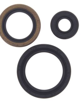 Vertex Engine Oil Seal Kit 822143