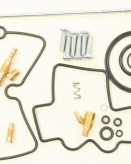 Carburetor Rebuild Kit