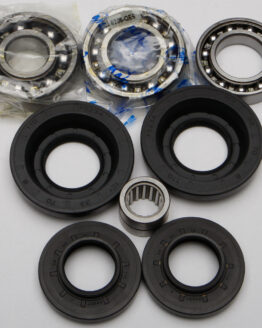 Rear Differential Bearing & Seal Kit