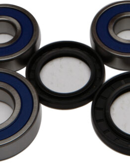 Wheel Bearing & Seal Kit