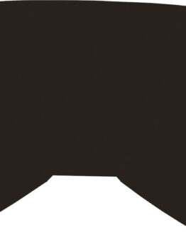 Replacement Smoke Lens for Fly Youth Zone/Focus Goggles