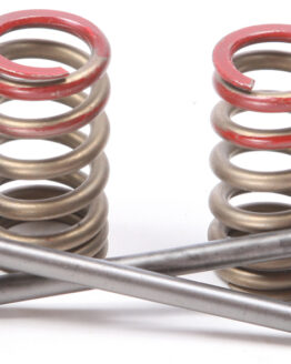 Steel Intake Valve/Spring Kit
