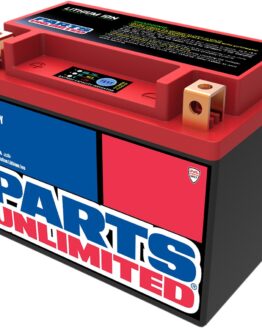 LiFePO4 Lithium-Ion Battery - 300CCA