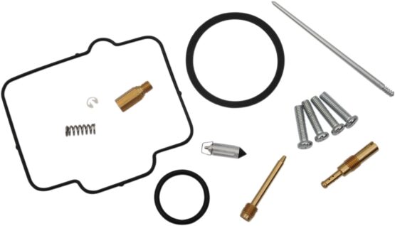 Carburetor Repair Kit