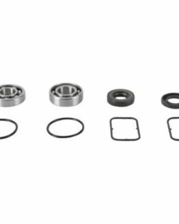 All Balls Racing Jet Pump Rebuild Kit