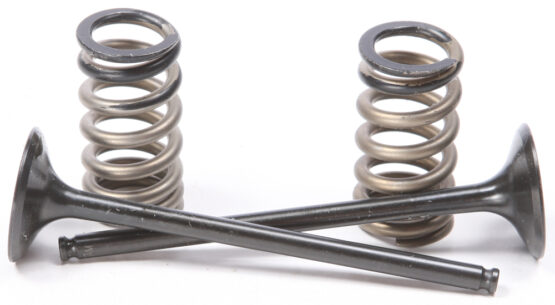 Steel Exhaust Valve/Spring Kit