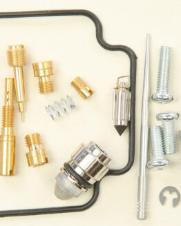 Carburetor Repair Kit