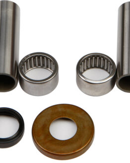 Swing Arm Bearing Kit