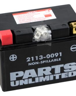 AGM Maintenance Free Battery 210CCA 12V 11Ah Factory Activated