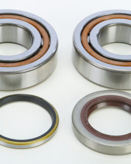 Crankshaft Bearing & Seal Kit
