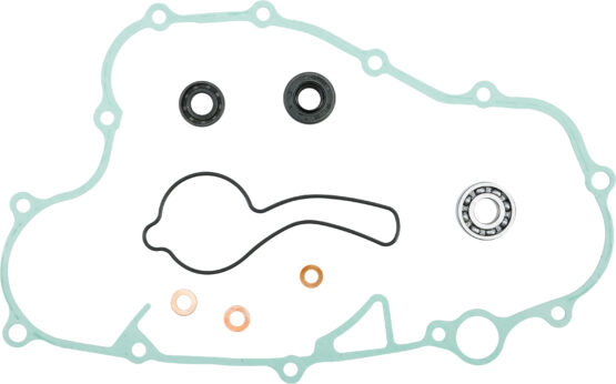 Water Pump Repair Kit