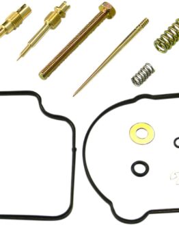 Carburetor Repair Kit