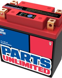 LiFePO4 Lithium-Ion Battery