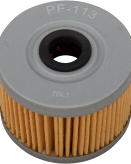 Pro Filter Oil Filter