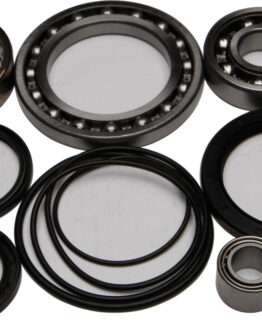 Rear Differential Bearing & Seal Kit
