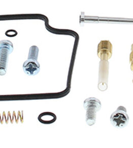 Carburetor Rebuild Kit