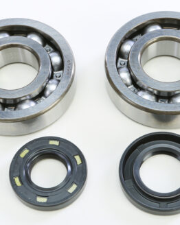Crankshaft Bearing & Seal Kit