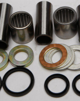 Swing Arm Bearing Kit