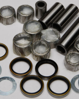 Swing Arm Linkage Bearing & Seal Kit