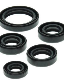 Oil Seal Kit