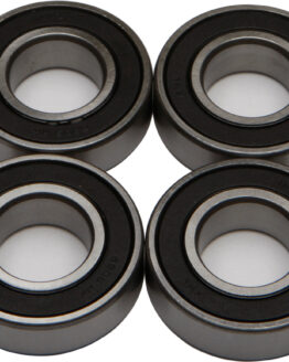 Rear Wheel Bearing Kit