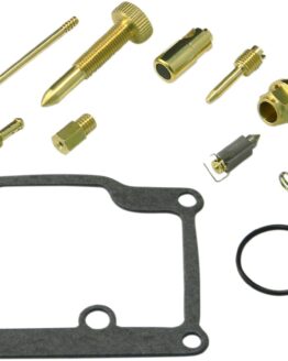 Carburetor Repair Kit