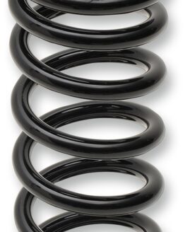 EPI Rear Heavy-Duty Suspension Spring WE325125